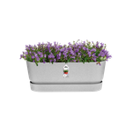 greenville pflanzgefäß lang 50cm living beton